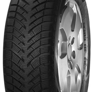  205/55R16 91H MOZZO WINTER