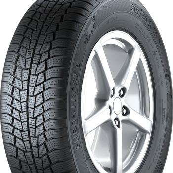 205/55R16 EURO*FROST 6 91H