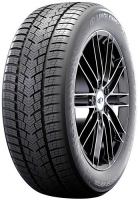 205/55R16 SPORT MASTER WINTER 91H