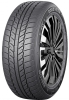 Avalon 205/55 R16 winter