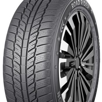 Avalon 205/55 R16 žieminės