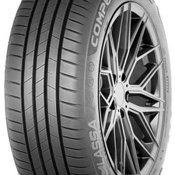 Competus H/P 3 205/55 R19 vasarinės