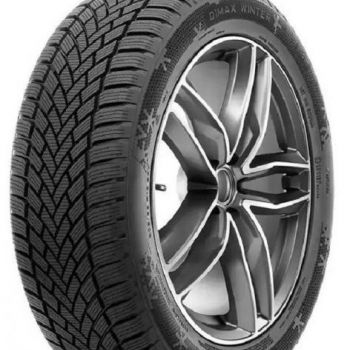 Dimax Winter 205/55 R16 žieminės