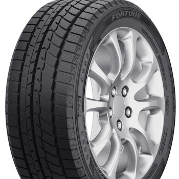 FSR901 205/55 R16 žieminės