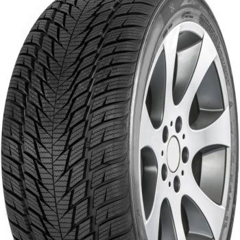 Gowin UHP2 205/45 R17 žieminės