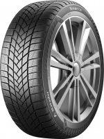 MP93 Nordicca 205/55 R17 winter