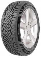 MultiAction PT565 215/50 R17 all-season