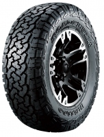 RA1100 265/55 R19 summer