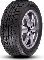 RX Frost WH01 205/55 R16 winter