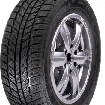 RX Frost WH01 205/55 R16 žieminės