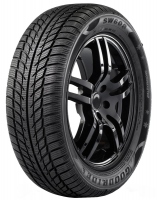 SW608 205/55 R16 winter