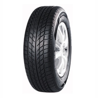 SW608 205/55 R16 winter