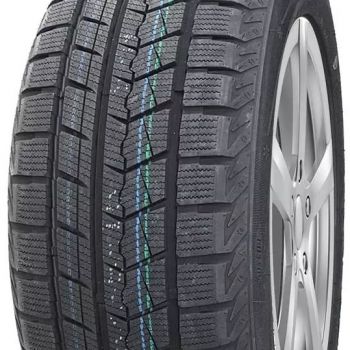 Winter IL868 205/55 R16 žieminės