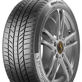 WinterContact TS870 P 205/60 R17 žieminės