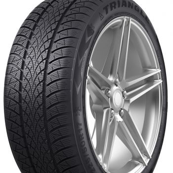 WinterX TW401 205/50 R17 žieminės
